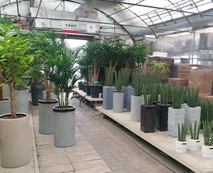 과천화훼유통협동조합